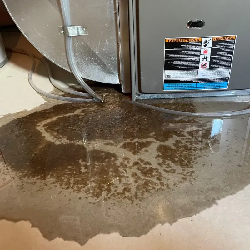 Pipe Burst and Leak Restoration in Gallatin County, KY