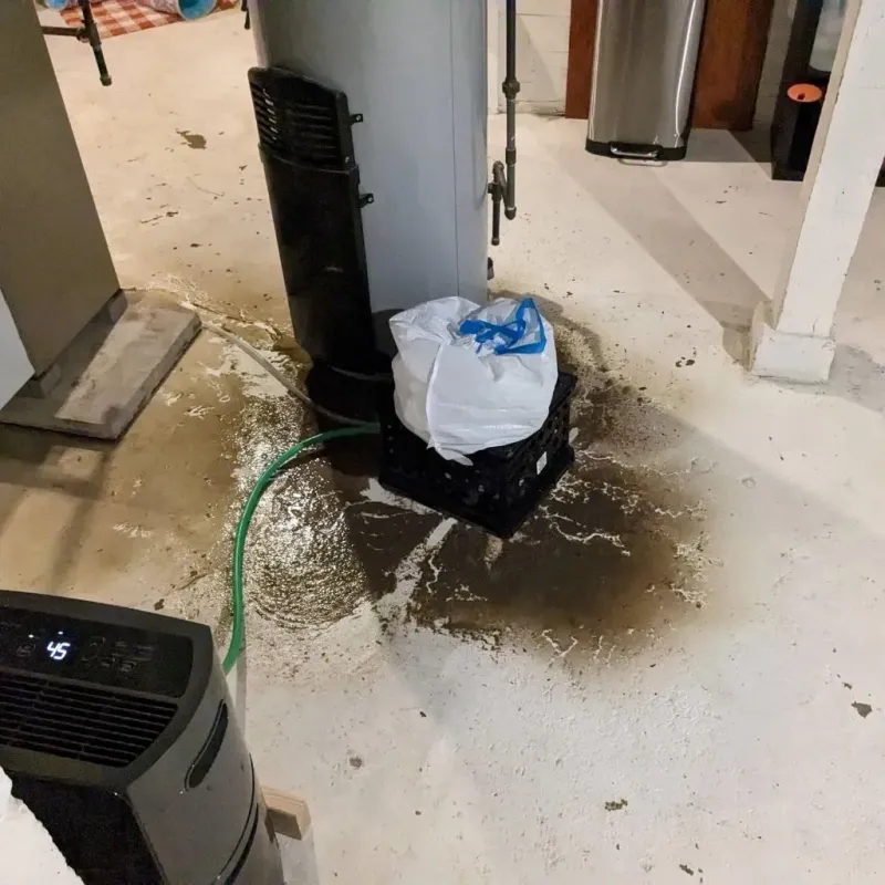 Sewage Backup Cleanup Service in Gallatin County, KY